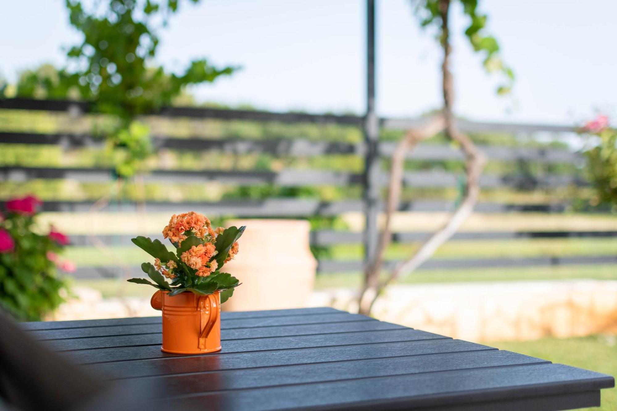 Stancija Rosa Appartement Poreč
